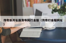 传奇新开私服发布网打金服（传奇打金服网址）