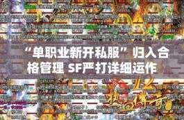 “单职业新开私服”归入合格管理 SF严打详细运作