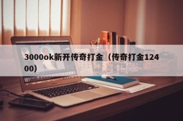 3000ok新开传奇打金（传奇打金12400）