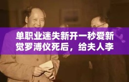 单职业迷失新开一秒爱新觉罗溥仪死后，给夫人李淑贤留下几何遗产？