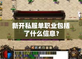 新开私服单职业包括了什么信息？